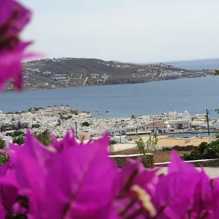 Bellou * Mykonos Town